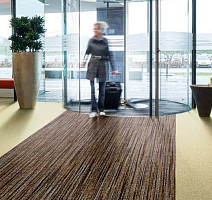 Forbo Coral Brush 5764 petrified grey фото 2 | FLOORDEALER